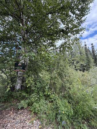 1 Acre of Residential Land for Sale in North Pole, Alaska