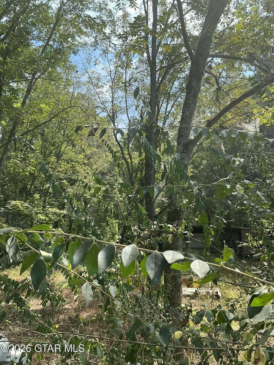 3.2 Acres of Residential Land for Sale in Steens, Mississippi
