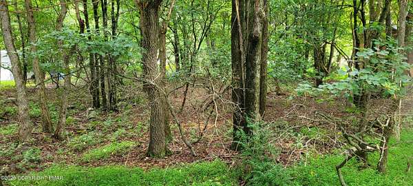 0.46 Acres of Residential Land for Sale in Albrightsville, Pennsylvania