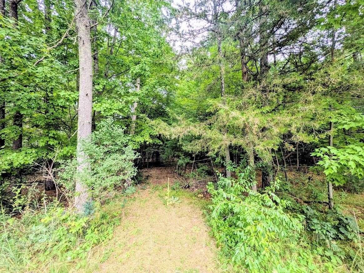 5 Acres of Residential Land for Sale in Arkdale, Wisconsin