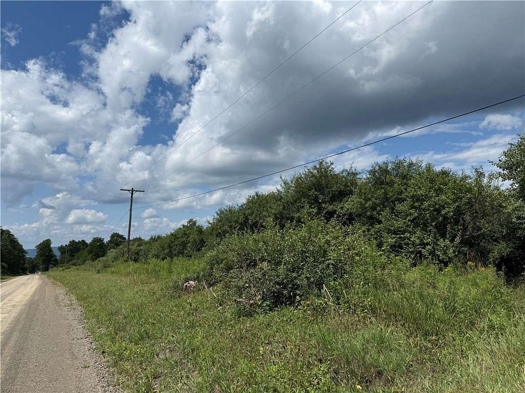 20 Acres of Recreational & Residential Land for Sale in Hammondsport, New York