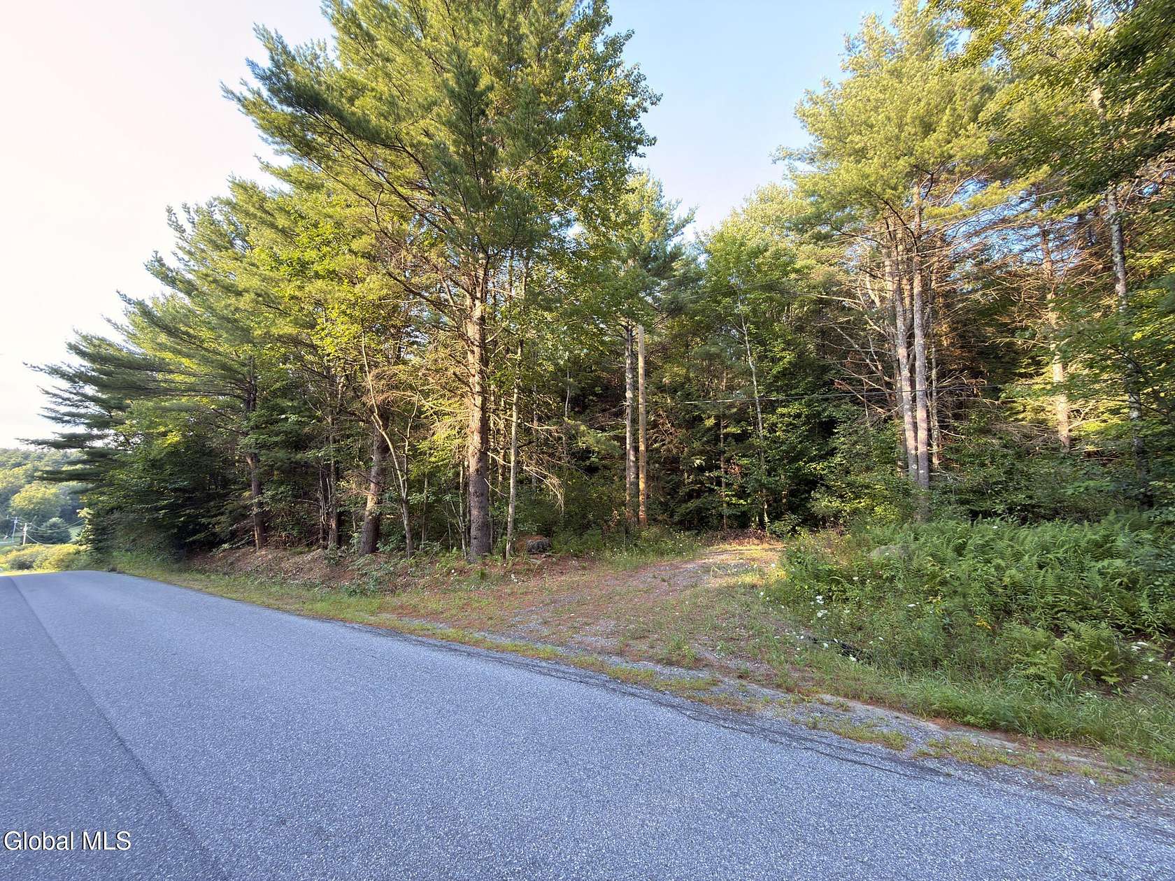 26.4 Acres of Recreational & Residential Land for Sale in Galway, New York