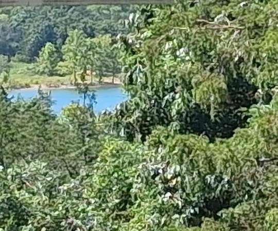 0.21 Acres of Residential Land for Sale in Ridgedale, Missouri