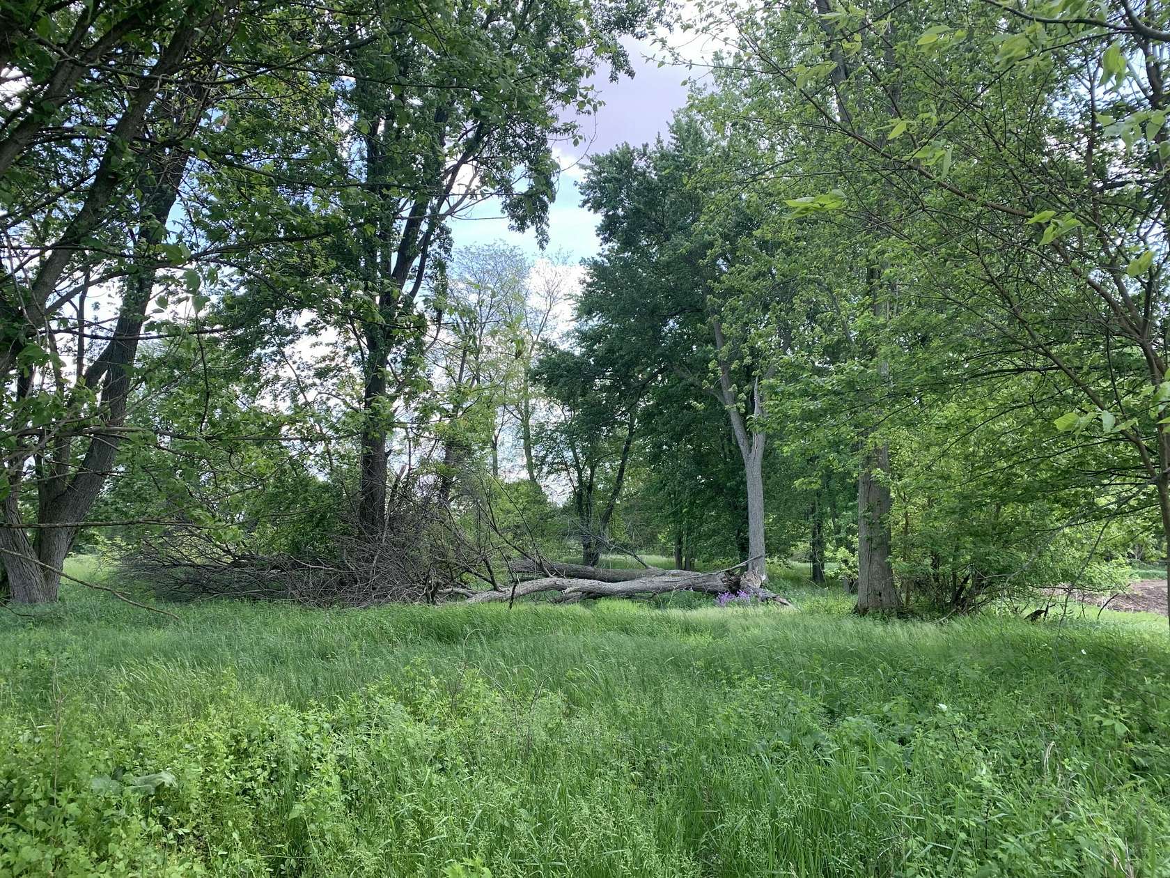 0.55 Acres of Residential Land for Sale in Bronson, Michigan