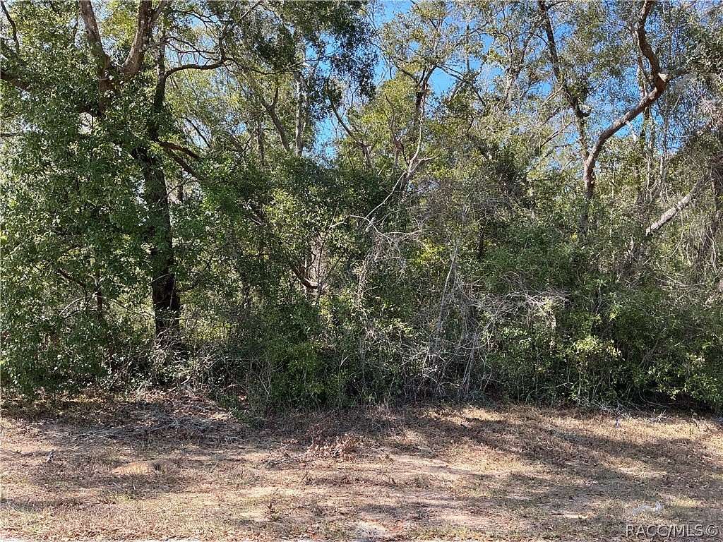 0.26 Acres of Residential Land for Sale in Citrus Springs, Florida