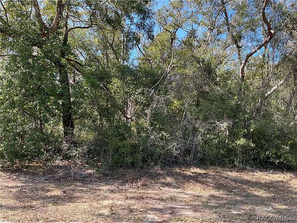 0.26 Acres of Residential Land for Sale in Citrus Springs, Florida