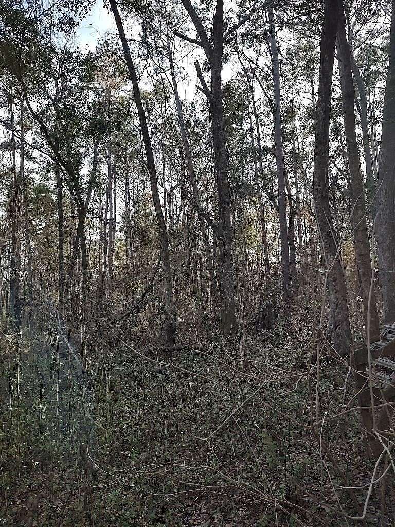 1.26 Acres of Land for Sale in Tallahassee, Florida