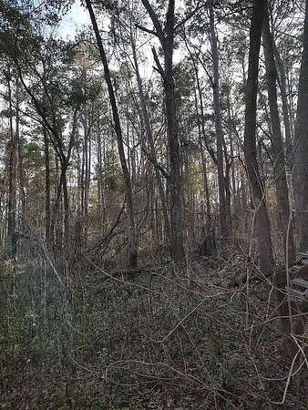 1.26 Acres of Land for Sale in Tallahassee, Florida