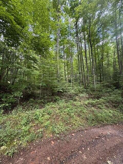 2.38 Acres of Land for Sale in Sylva, North Carolina