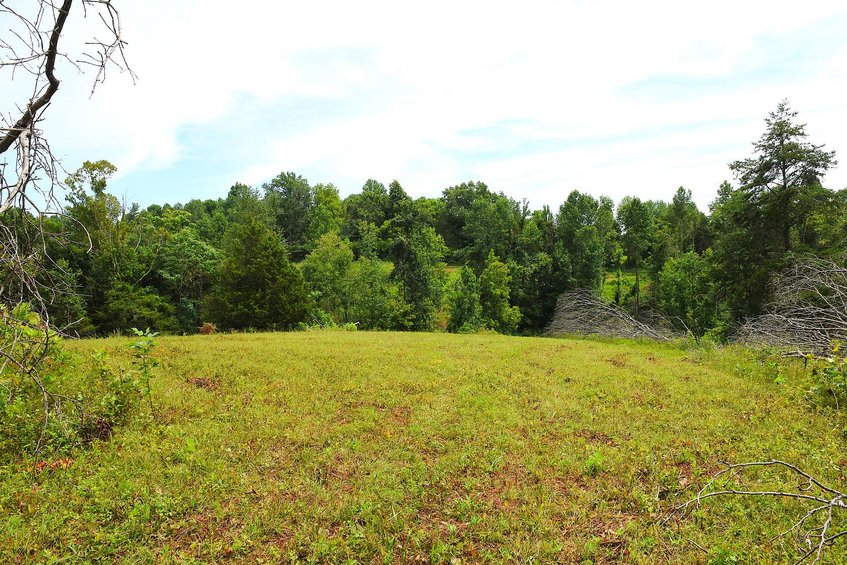 3.1 Acres of Land for Sale in Edmonton, Kentucky