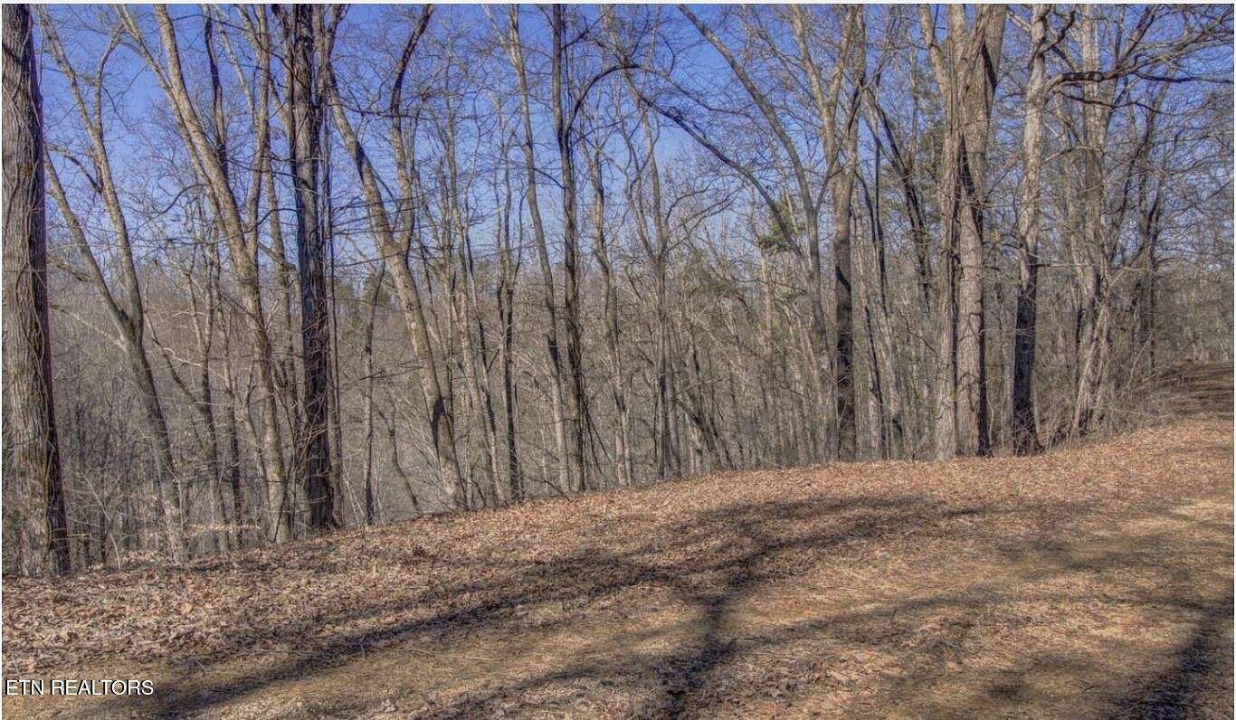 12 Acres of Land for Sale in Maryville, Tennessee