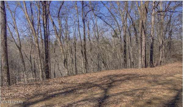 12 Acres of Land for Sale in Maryville, Tennessee