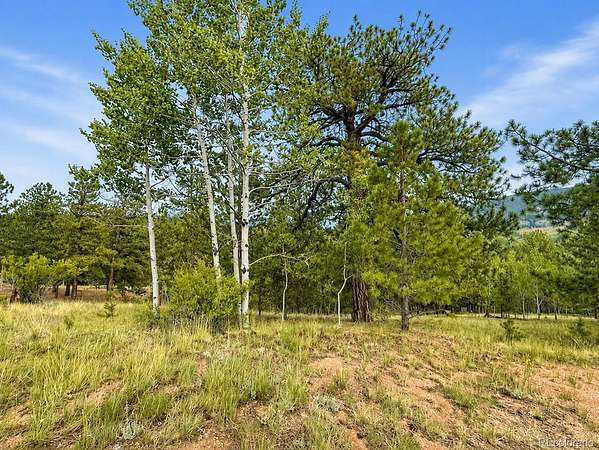 1.1 Acres of Residential Land for Sale in Cripple Creek, Colorado