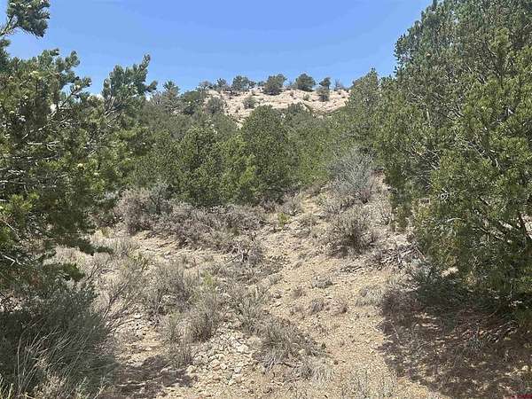 5.49 Acres of Residential Land for Sale in Fort Garland, Colorado
