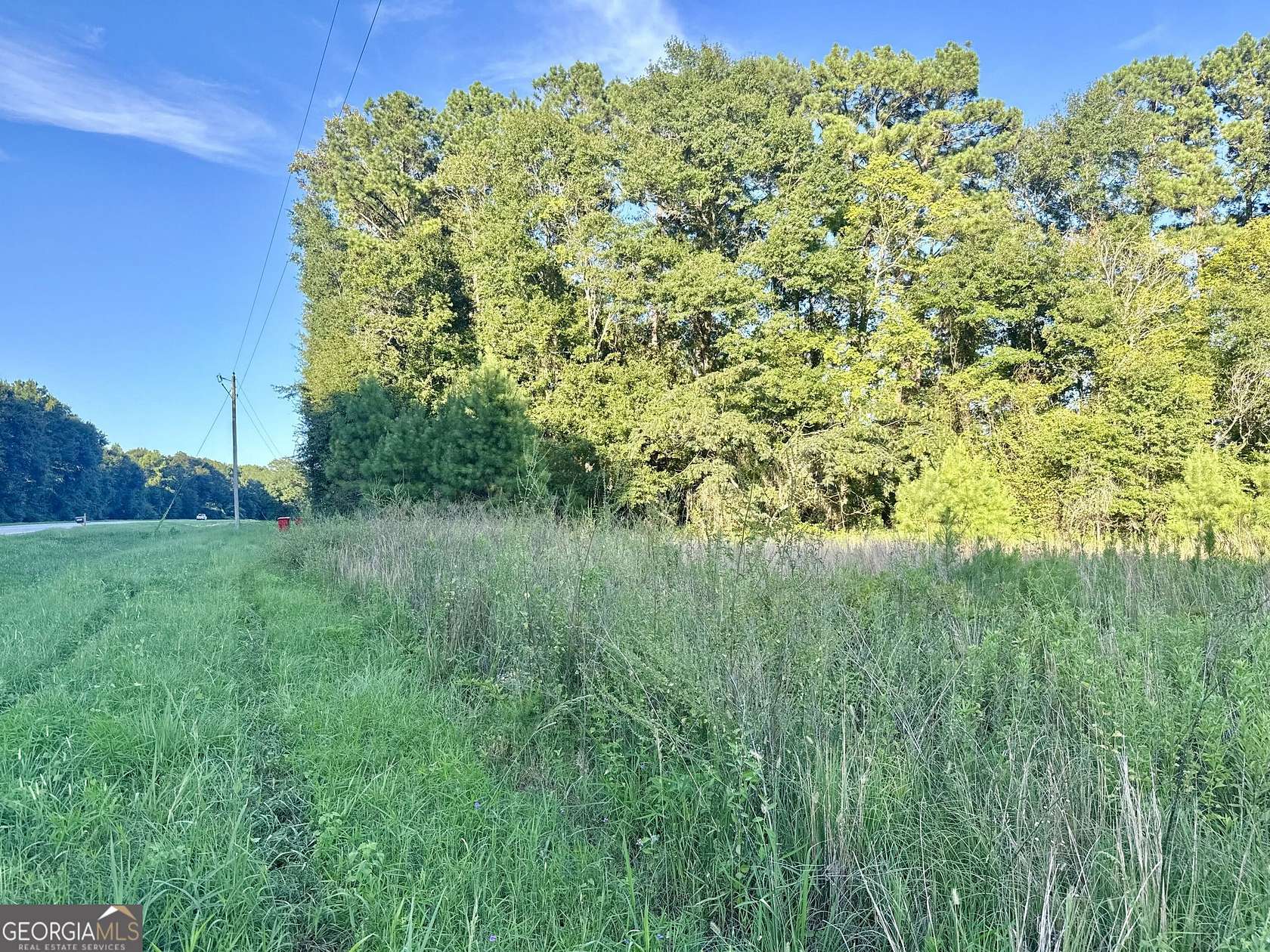 22.4 Acres of Recreational & Residential Land for Sale in Blakely, Georgia