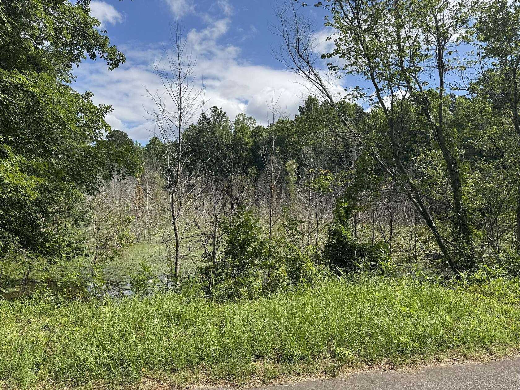 26 Acres of Recreational Land for Sale in Salley, South Carolina