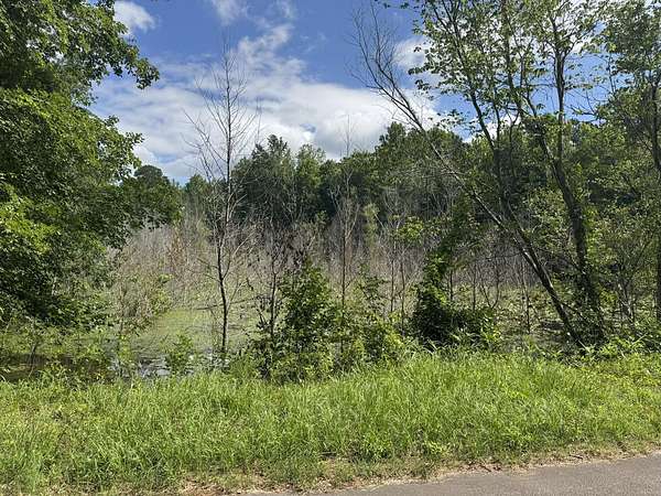 26 Acres of Recreational Land for Sale in Salley, South Carolina