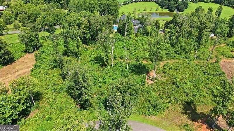 1 Acre of Residential Land for Sale in Ellijay, Georgia