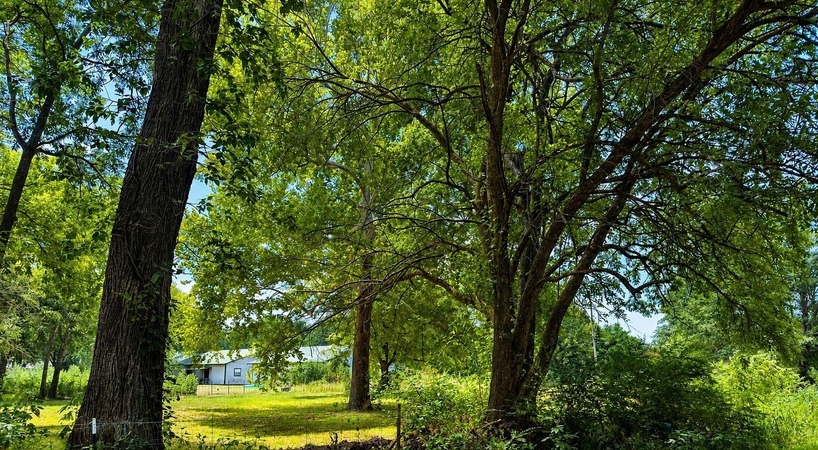 1 Acre of Land for Sale in Blossom, Texas