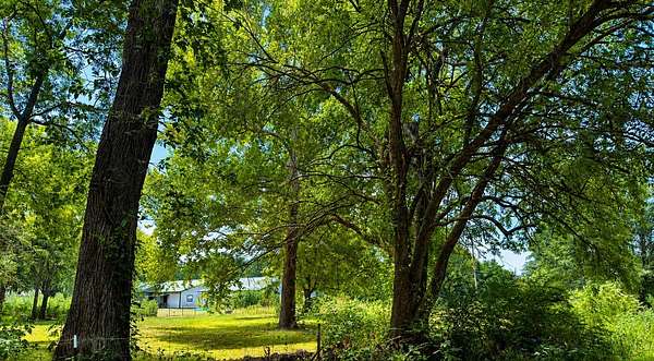 1 Acre of Land for Sale in Blossom, Texas