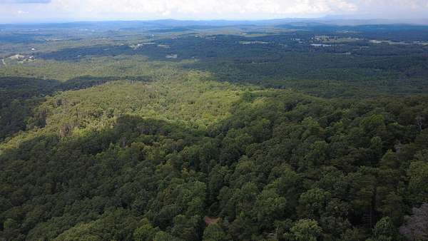 2.56 Acres of Residential Land for Sale in Jasper, Georgia