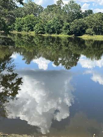 21 Acres of Agricultural Land with Home for Sale in Troy, Alabama