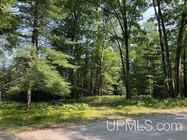 1.24 Acres of Residential Land for Sale in Pembine Town, Wisconsin