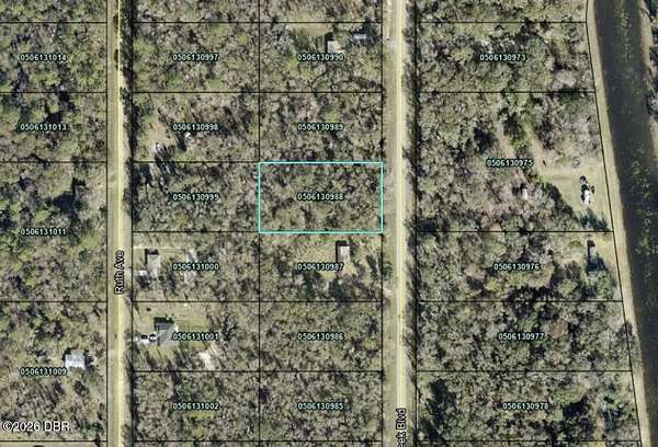 1.1 Acres of Land for Sale in Hastings, Florida