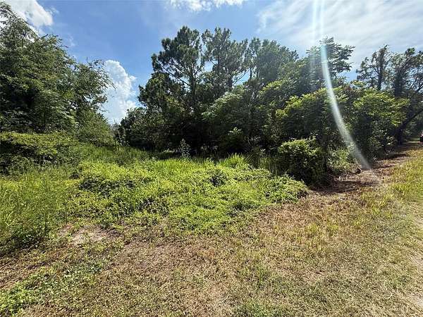 0.9 Acres of Residential Land for Sale in Brooksville, Florida