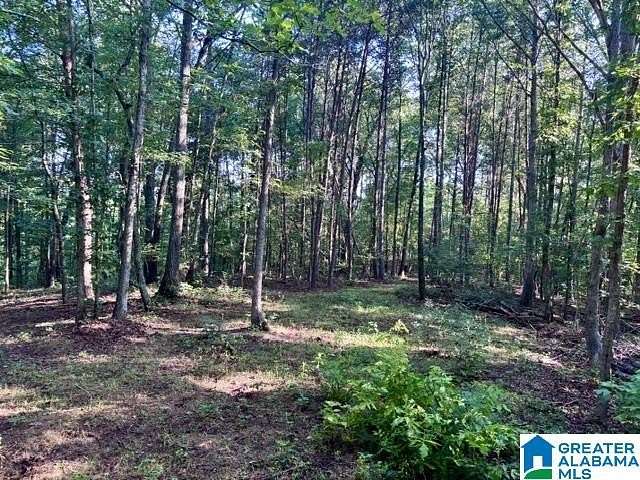 10 Acres of Recreational & Residential Land for Sale in Delta, Alabama