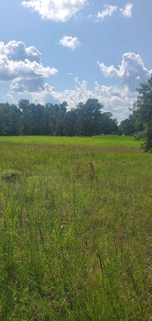 0.51 Acres of Land for Sale in Chappells, South Carolina