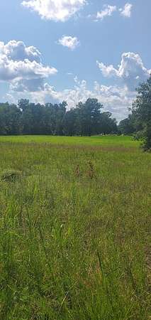 0.51 Acres of Land for Sale in Chappells, South Carolina