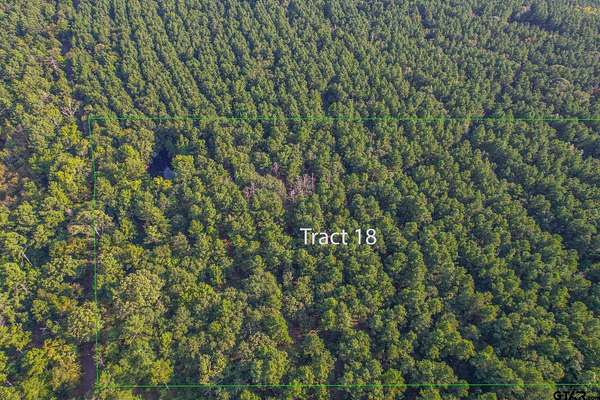 32 Acres of Recreational & Residential Land for Sale in Frankston, Texas