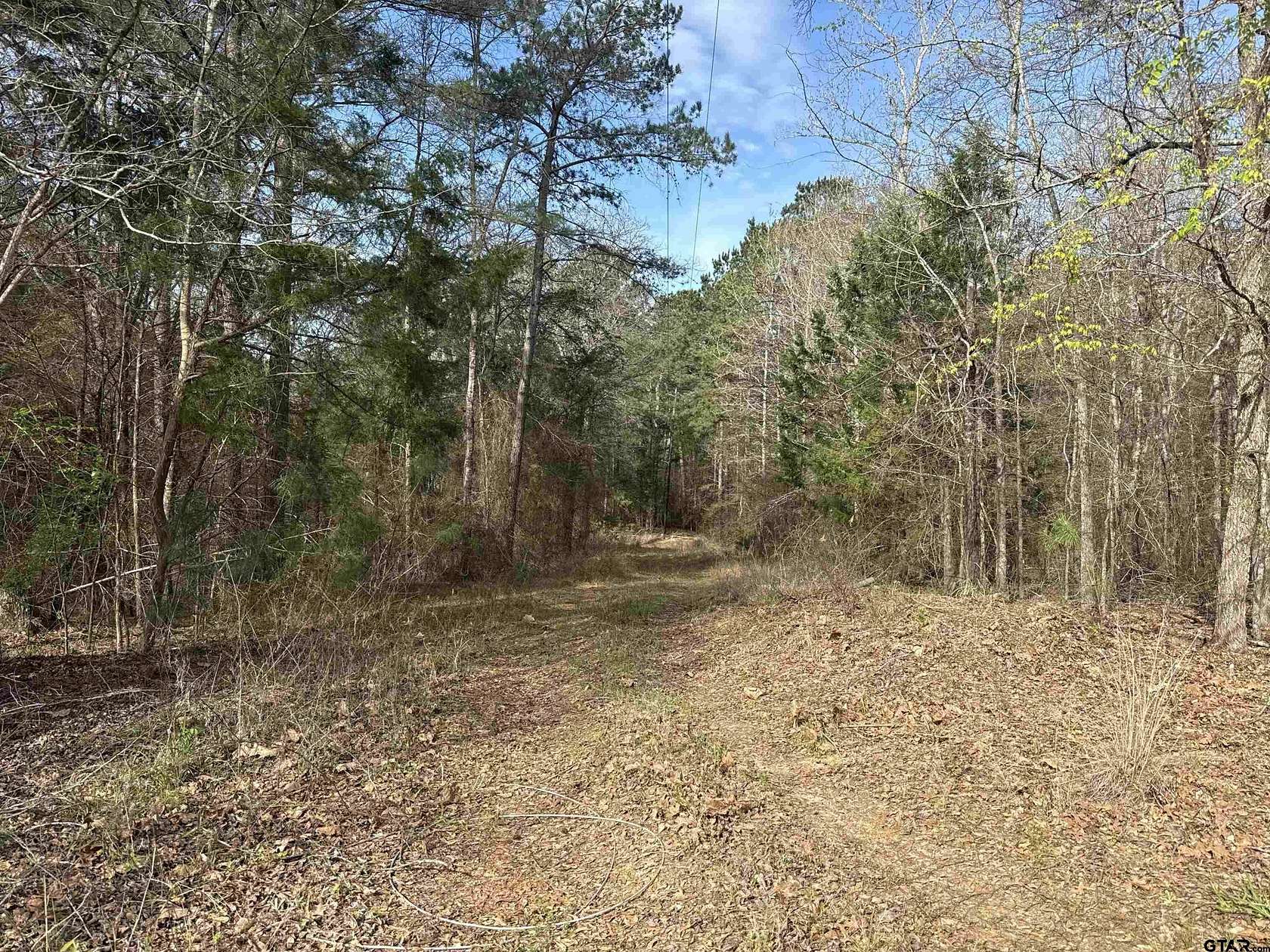 12.2 Acres of Land for Sale in Tyler, Texas