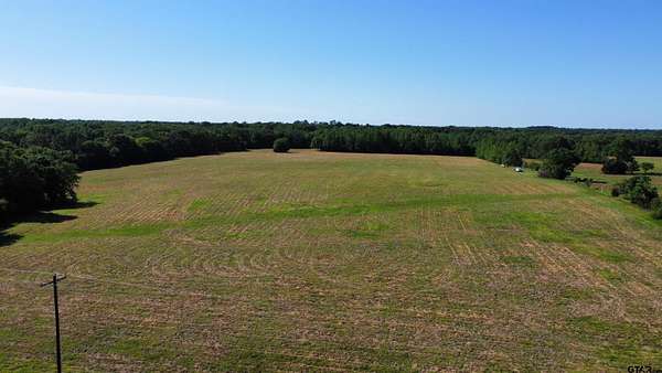 32 Acres of Land for Sale in Quitman, Texas