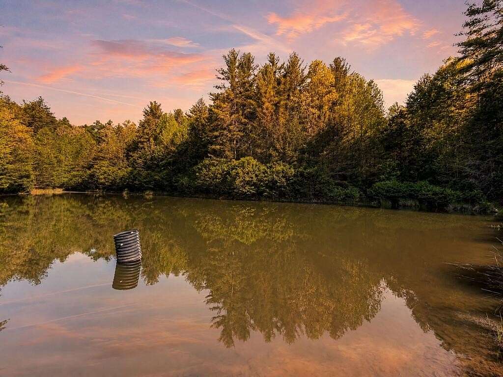 40 Acres of Recreational & Residential Land for Sale in Mineral Bluff, Georgia