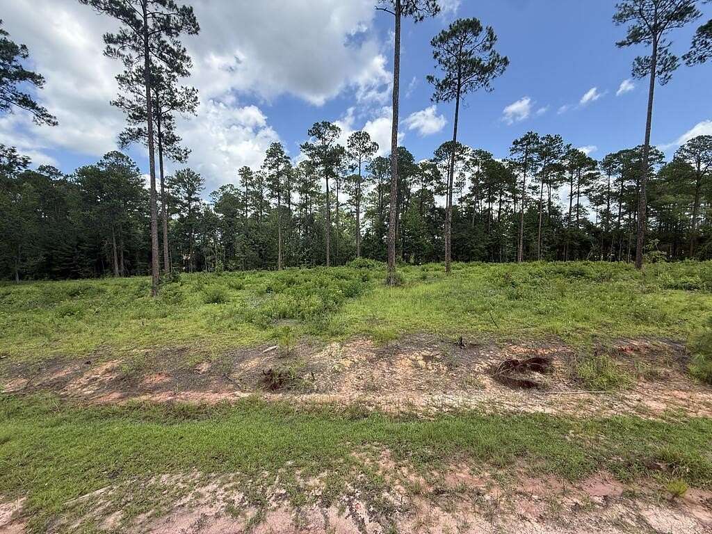 0.96 Acres of Residential Land for Sale in Moultrie, Georgia