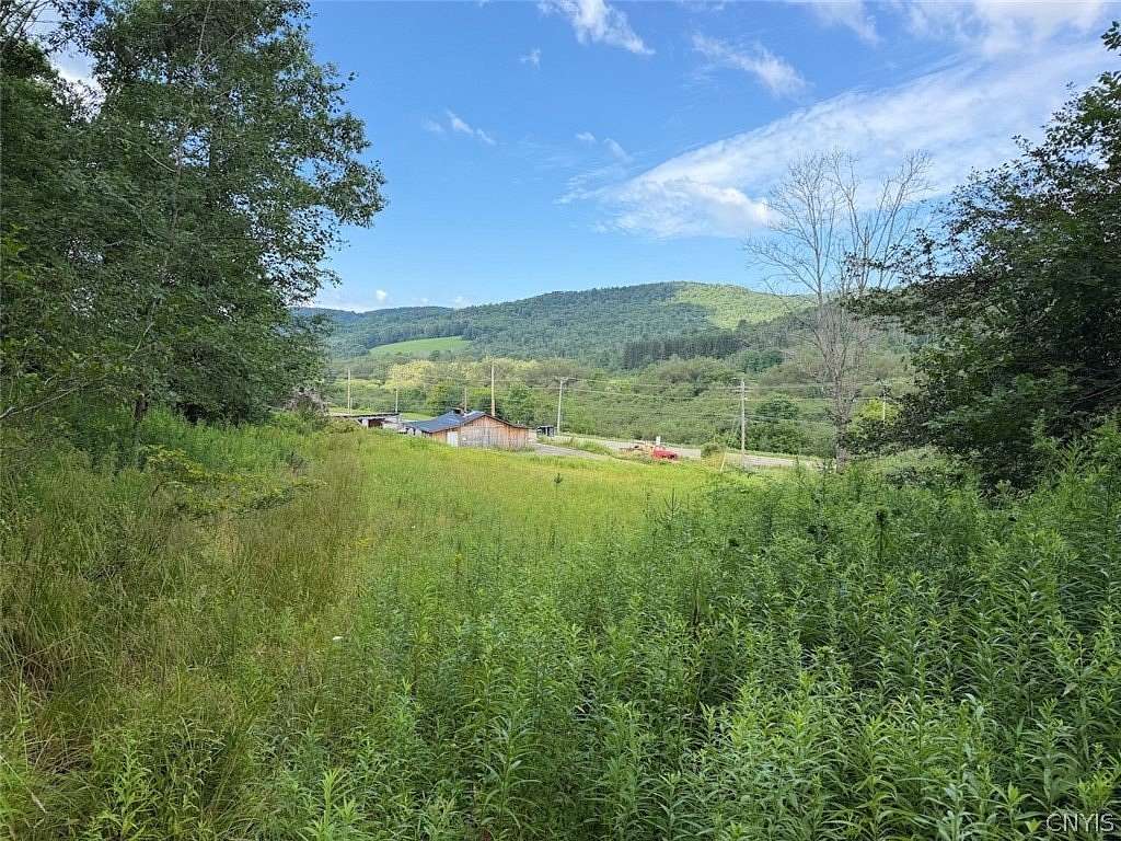 41.7 Acres of Recreational Land for Sale in Bolivar, New York
