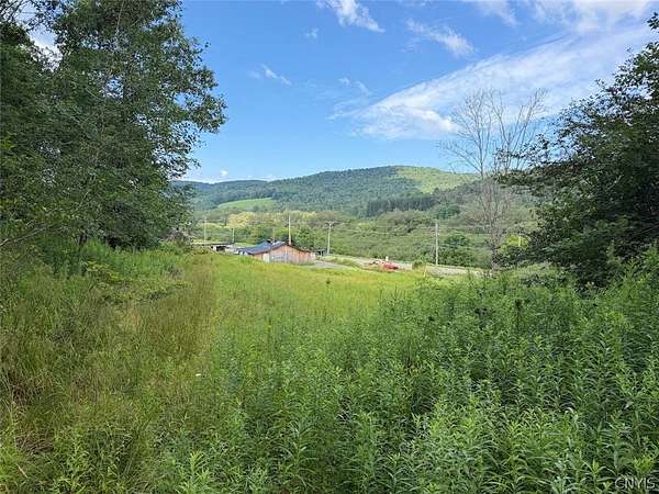 41.7 Acres of Recreational Land for Sale in Bolivar, New York