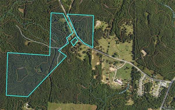61 Acres of Recreational & Residential Land for Sale in Buhl, Alabama