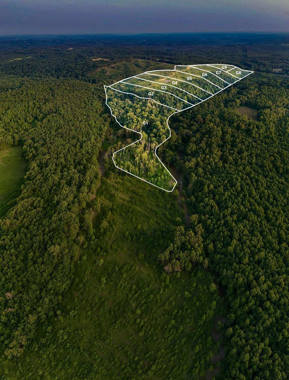 2.78 Acres of Residential Land for Sale in Walnut, Mississippi