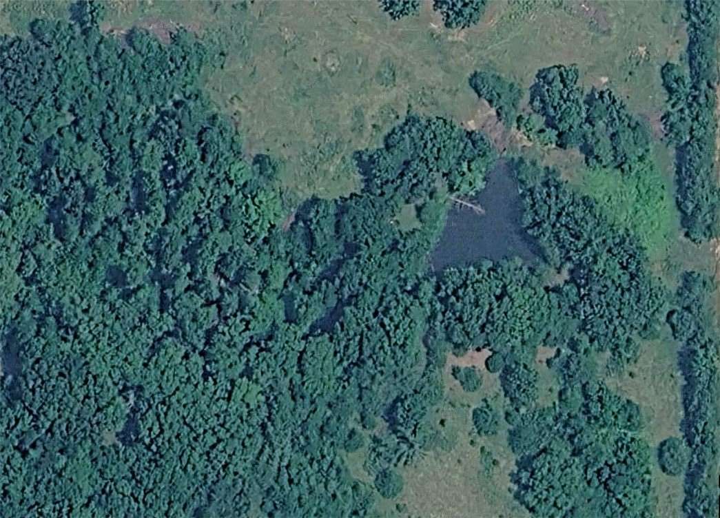 10 Acres of Land for Sale in Huntsville, Arkansas