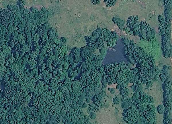 10 Acres of Land for Sale in Huntsville, Arkansas