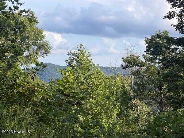 0.59 Acres of Residential Land for Sale in Topton, North Carolina