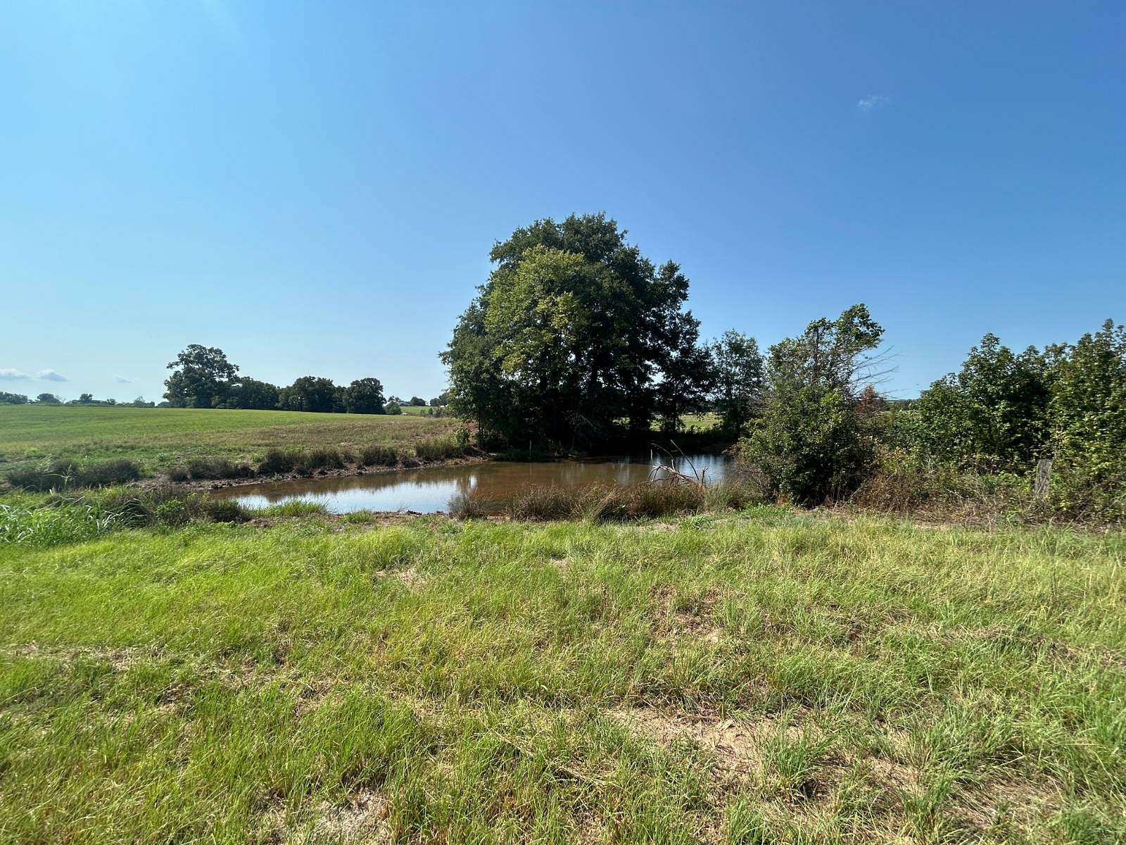 30 Acres of Land for Sale in Ozark, Arkansas
