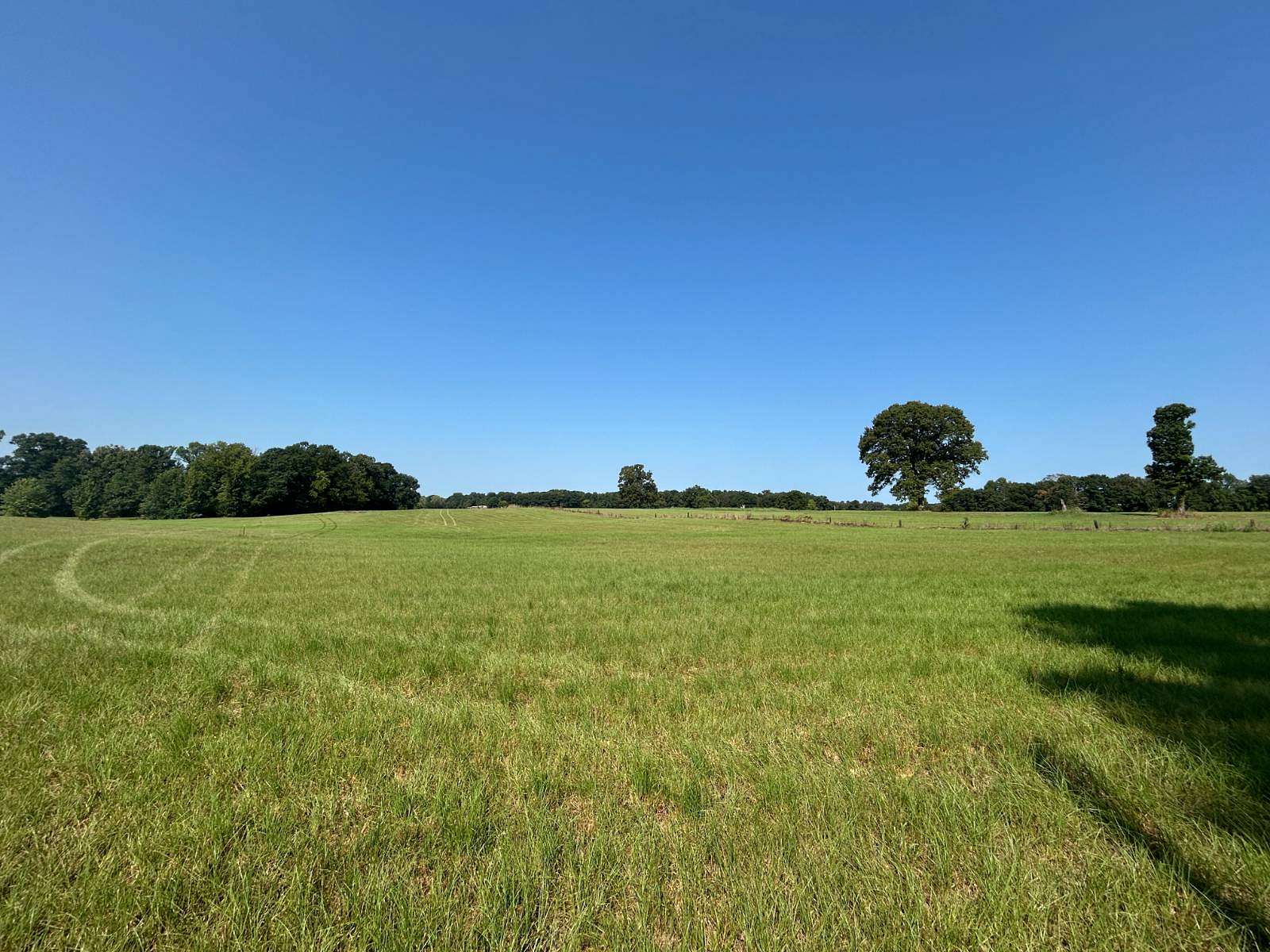 20 Acres of Land for Sale in Ozark, Arkansas