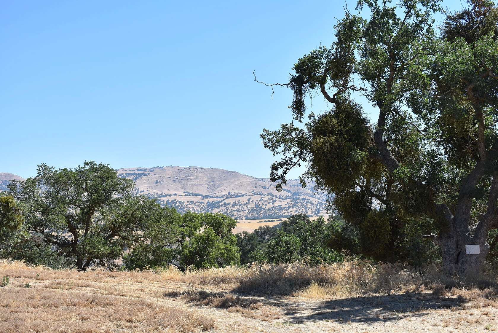 1 Acre of Residential Land for Sale in Tehachapi, California