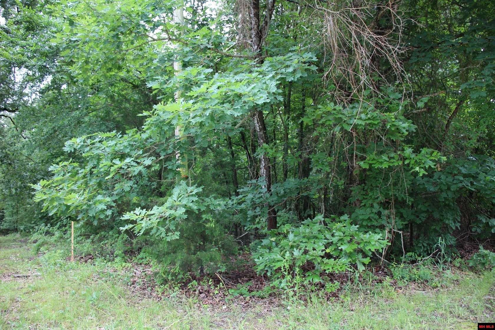 0.5 Acres of Land for Sale in Lakeview, Arkansas