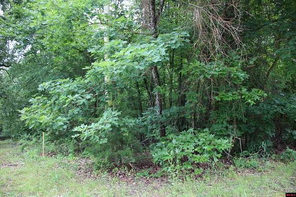 0.5 Acres of Land for Sale in Lakeview, Arkansas