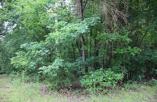 0.5 Acres of Land for Sale in Lakeview, Arkansas